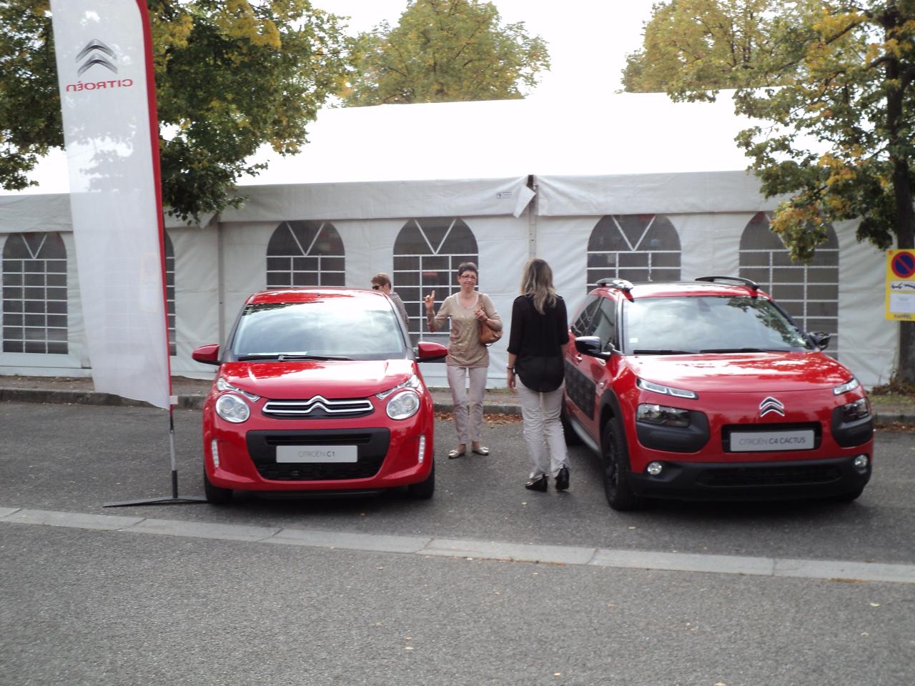 Salon de l'auto 2014