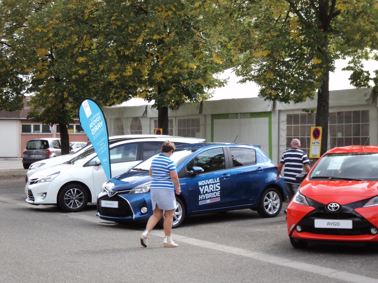 Salon de l'auto 2014