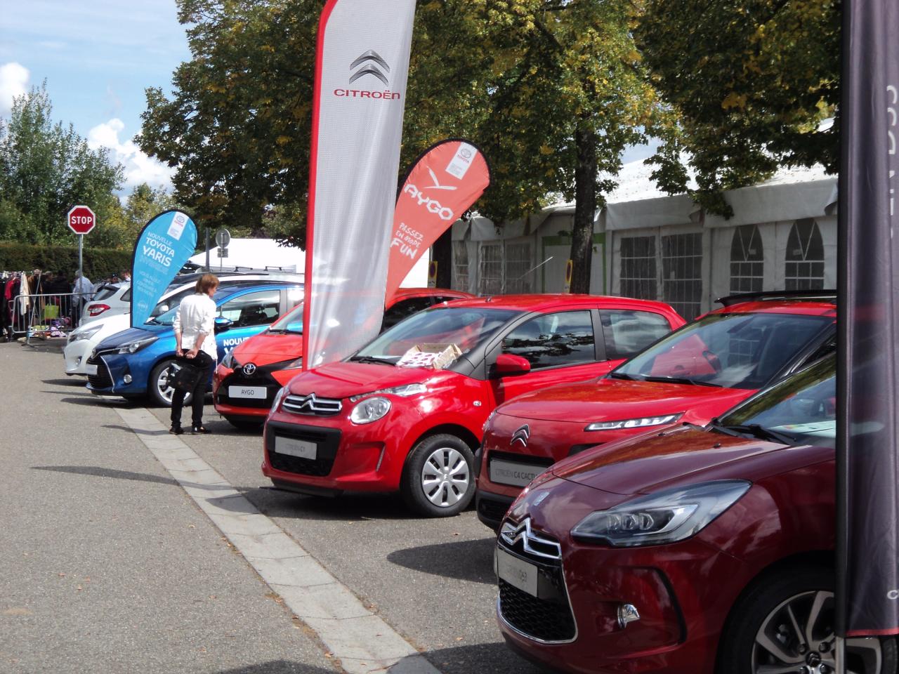 Salon de l'auto 2014